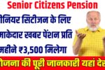 Senior Citizens Pension